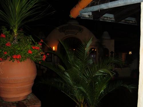 Hacienda Don Pedro 31