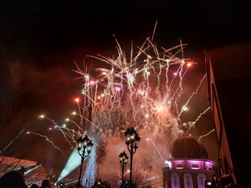 Magic Symphony - Light. Fire. Passion. 3