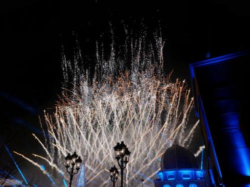 Magic Symphony - Light. Fire. Passion. 9