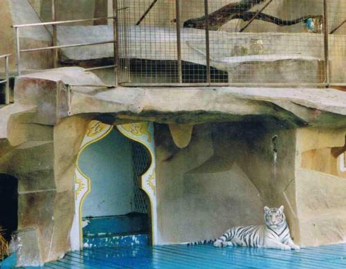 Magic World of Siegfried & Roy 3