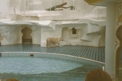 Magic World of Siegfried & Roy 4