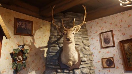 Maximus' Blitz Bahn 9