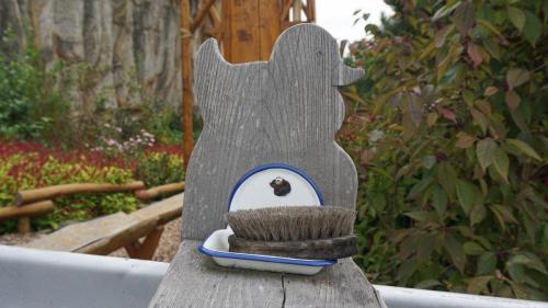 Maximus' Wunderball 7