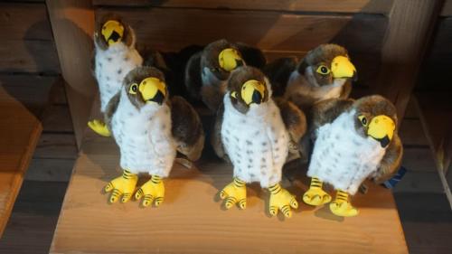 Merlin's Magical Treasures 7