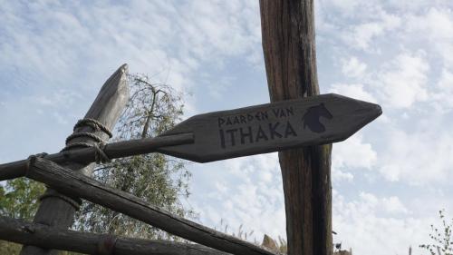 Paarden van Ithaka 1