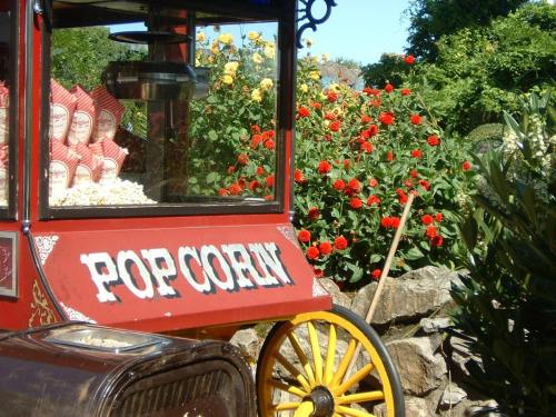 Popcornwagen Alt Berlin