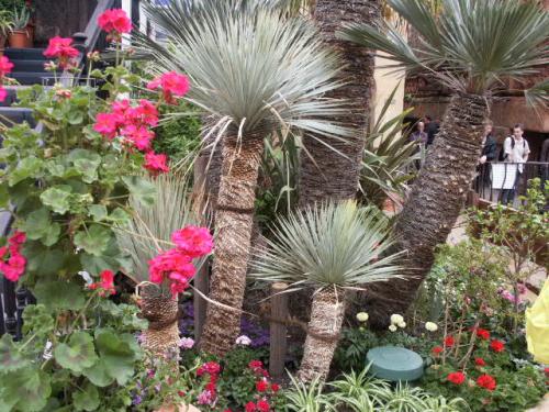 Pre-Opening: Talocan 5