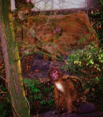 Seeräuberfahrt nach Carthagena 12