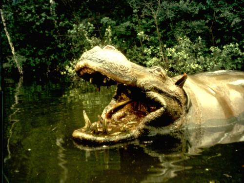 Seeräuberfahrt nach Carthagena 15