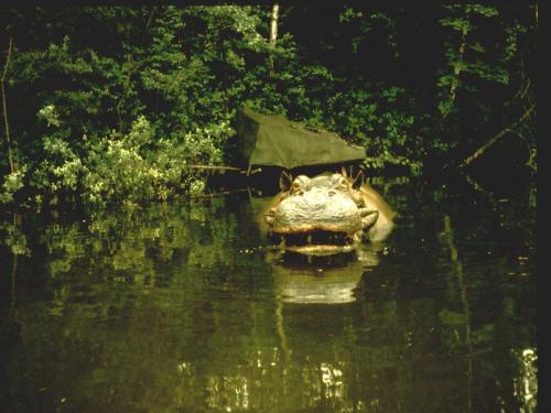 Seeräuberfahrt nach Carthagena 16