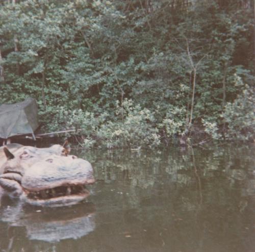 Seeräuberfahrt nach Carthagena 17