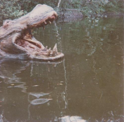 Seeräuberfahrt nach Carthagena 18