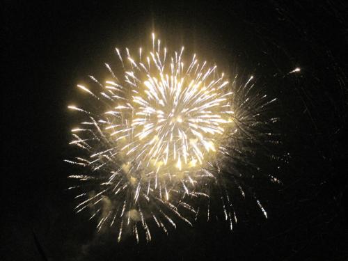 Silvesterfeier 2013/2014 19