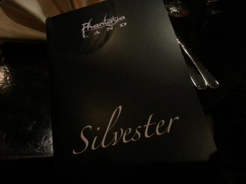 Silvesterfeier 2015/2016 9