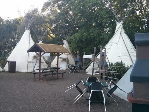 Smokey's Digger Camp 1