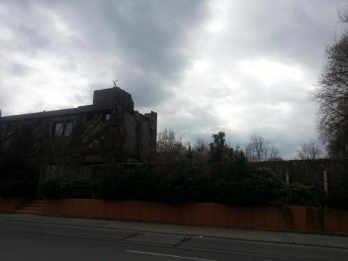 Smokey's Digger Camp 3