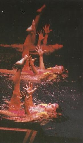 Splish-Splash-Show 6