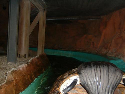 Stonewash Creek & Wildwash Creek 25