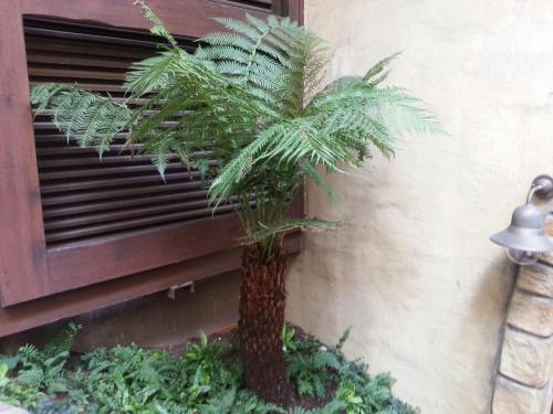 Temple of the Night Hawk 9