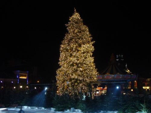 The Magic Rose - Spirit of Light 3