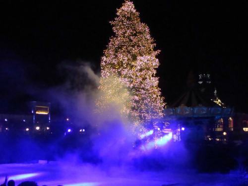 The Magic Rose - Spirit of Light 4