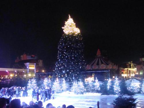 The Magic Rose - Spirit of Light 9