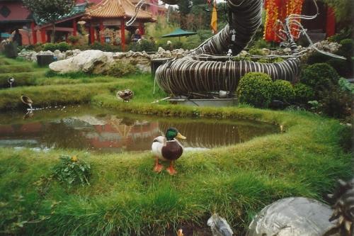 Themenbereich China Town 8