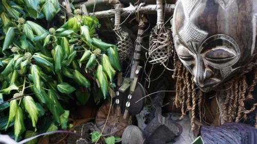 Themenbereich Deep in Africa 18