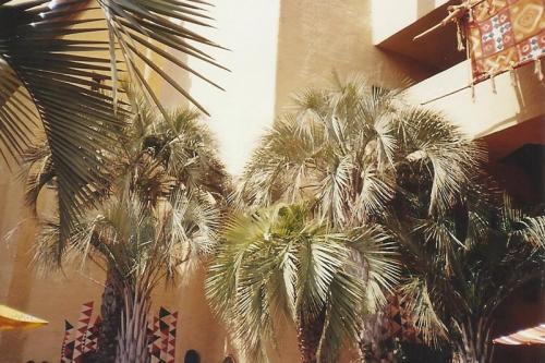 Themenbereich Deep in Africa 2