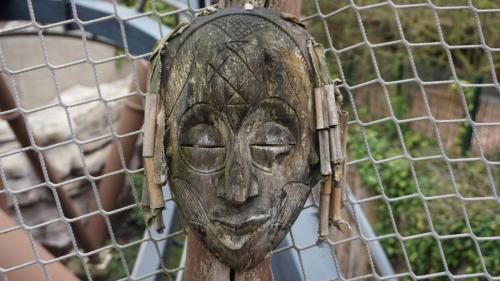 Themenbereich Deep in Africa 29