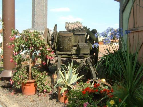 Themenbereich Mexico 12