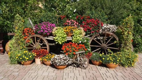 Themenbereich Mexico