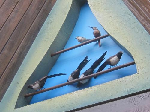 Tittle Tattle Tree 5