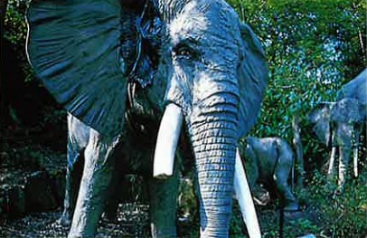 Wikingerbootsfahrt 12