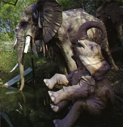 Wikingerbootsfahrt 13