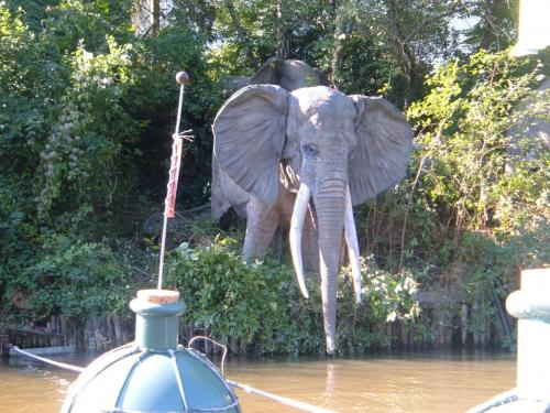 Wikingerbootsfahrt 17