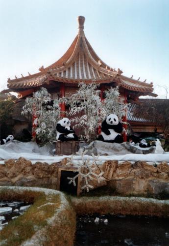 Wintersaison 2004/2005 2