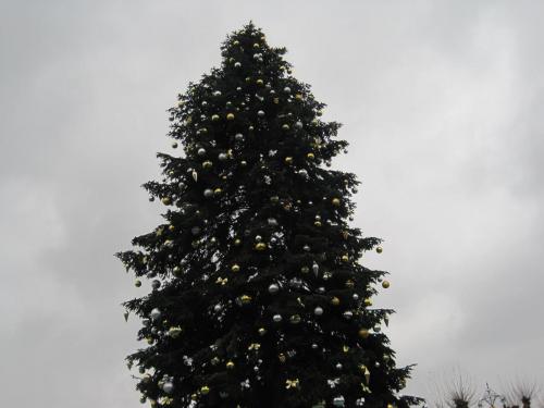 Wintersaison 2010/2011 1