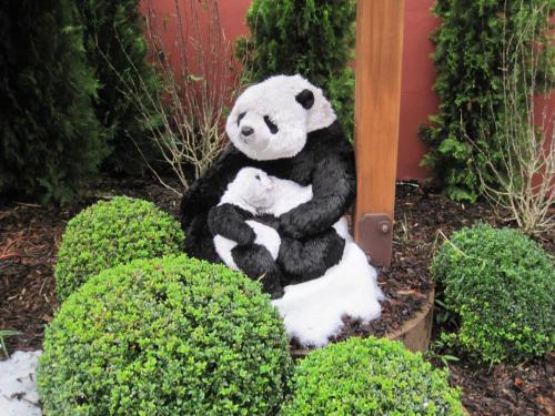 Wintersaison 2010/2011 5