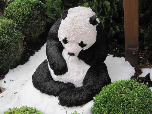 Wintersaison 2010/2011 6