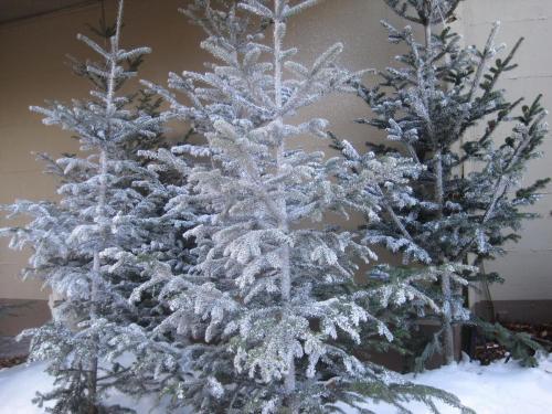 Wintersaison 2011/2012 1