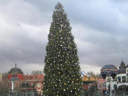 Wintersaison 2011/2012 10