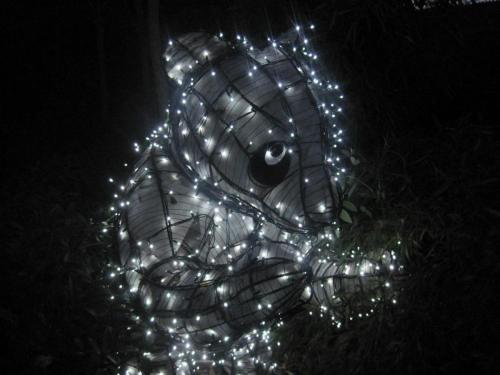 Wintersaison 2011/2012 14