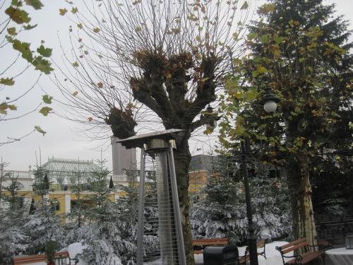 Wintersaison 2012/2013 7