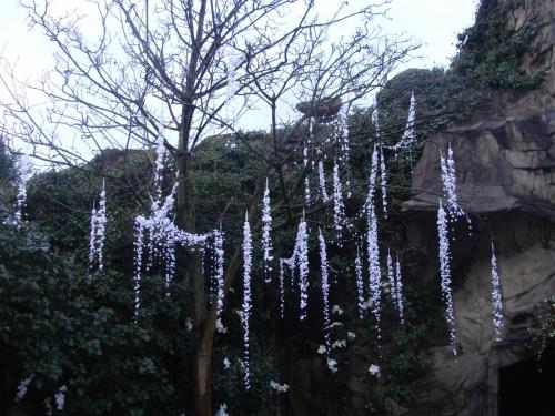 Wintersaison 2015/2016 11