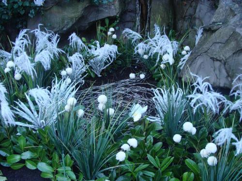 Wintersaison 2015/2016 12