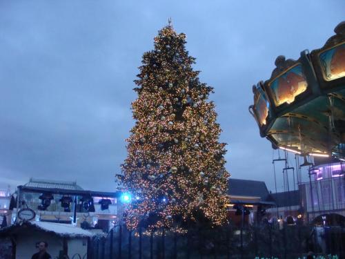 Wintersaison 2015/2016 19