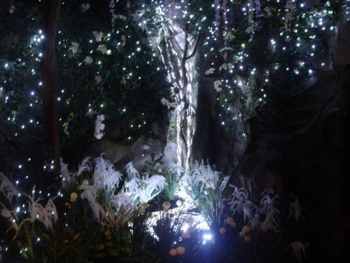 Wintersaison 2015/2016 22