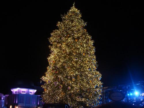 Wintersaison 2015/2016 24