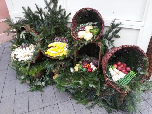 Wintersaison 2016/2017 13